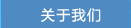 pݔ͙C